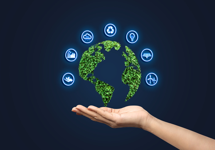 Global Carbon Market Operations: Regulation, Risk, and Opportunity