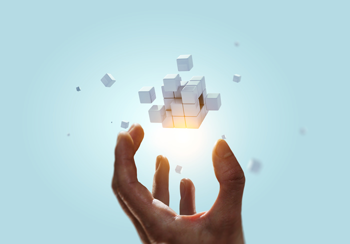 Systems Thinking for Strategic Decision-Making and Innovation