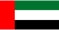 Dubai flag